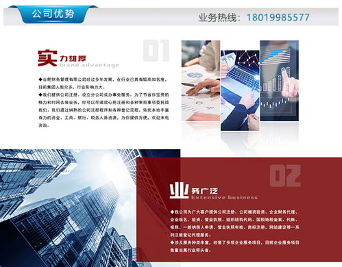 合肥峻嶺財(cái)務(wù) 注冊商標(biāo)與財(cái)務(wù)咨詢的一站式解決方案